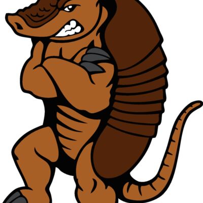 armadillo5 Thumbnail