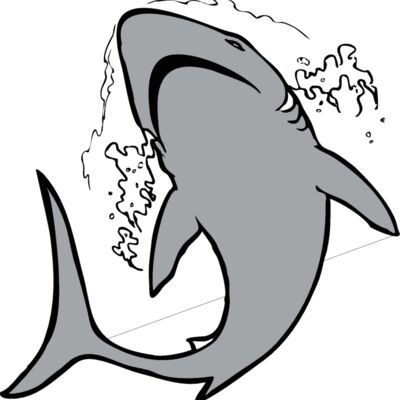 shark3 Thumbnail