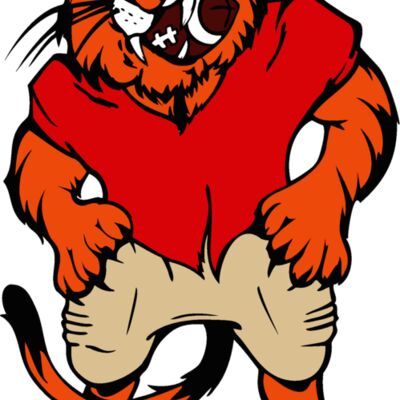 tiger05v4clr Thumbnail