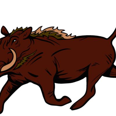 warthogmsct4 Thumbnail