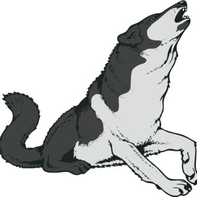 wolf06v4clr Thumbnail