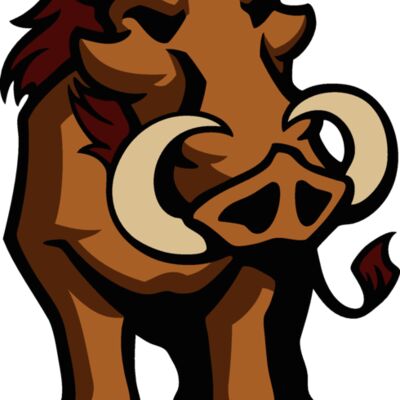 razorbackjk10 Thumbnail