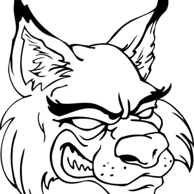 wildcathead02 Thumbnail