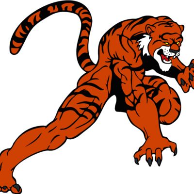 tigermsct 4 Thumbnail