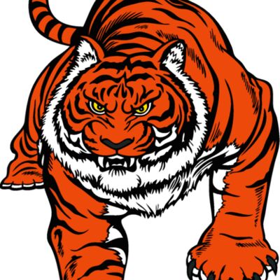 tiger01v4clr Thumbnail