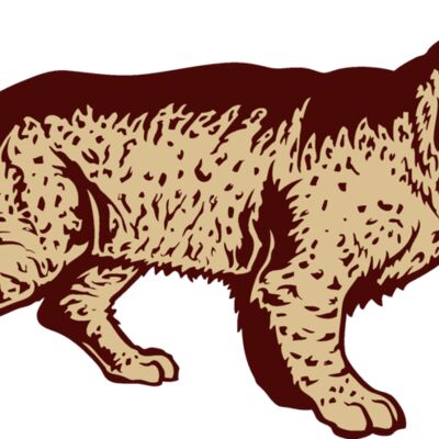 wildcatj022 Thumbnail