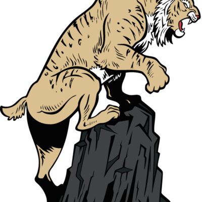 wildcat16v4clr Thumbnail