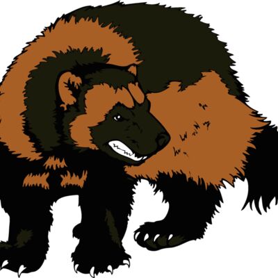 wolverine19 Thumbnail