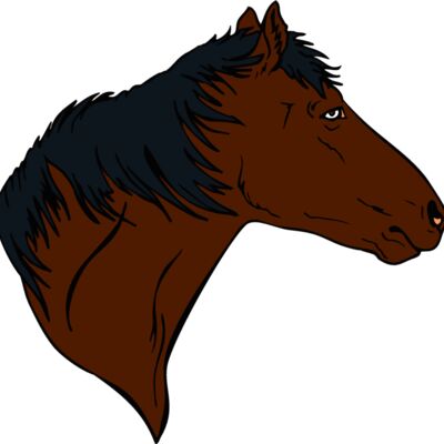 horsehead09 Thumbnail