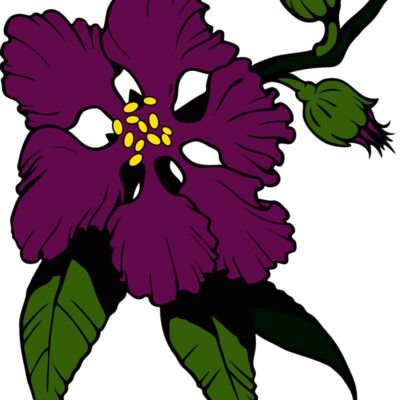 es3flower11clr Thumbnail