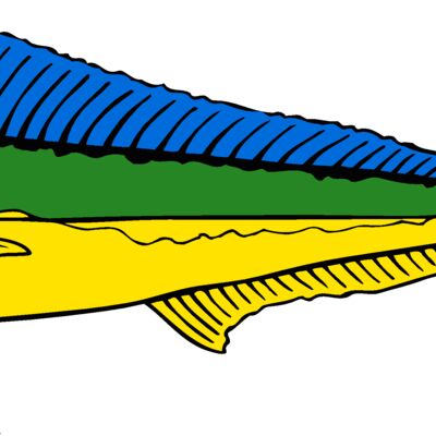 fish dolphin Thumbnail