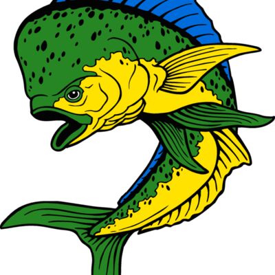 fish dolphin2 Thumbnail