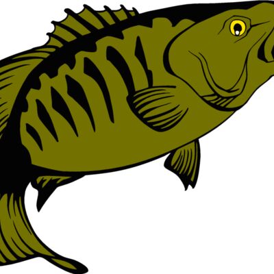 smallmouthbass Thumbnail