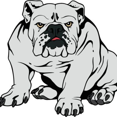 bulldog15v4clr Thumbnail