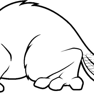 beaver6 Thumbnail