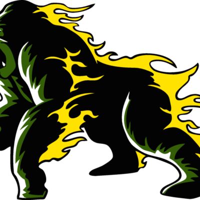 flaminggorilla01 Thumbnail