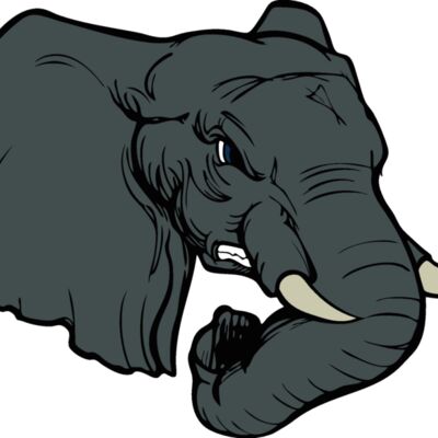 elephanthead02 Thumbnail