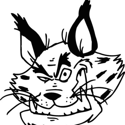 bobcathead04 Thumbnail