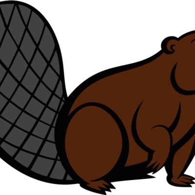 beaver8 Thumbnail