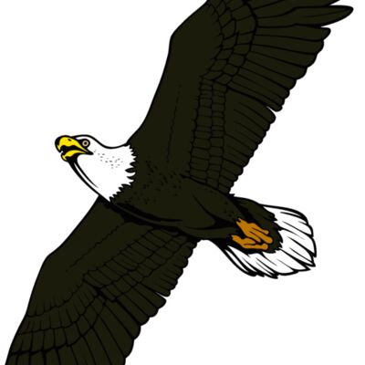 eagle17v4clr Thumbnail