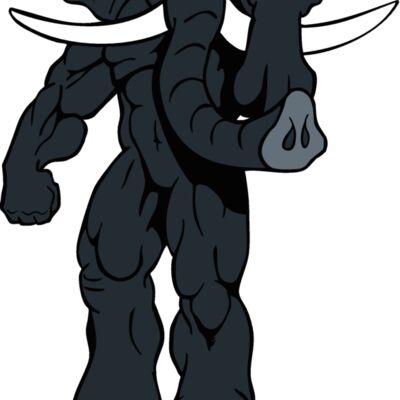 elphntmsct 4 Thumbnail