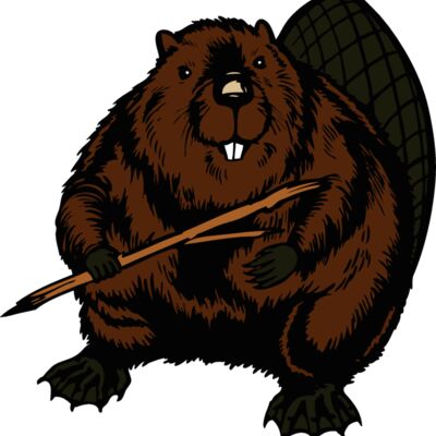 beaver13 Thumbnail