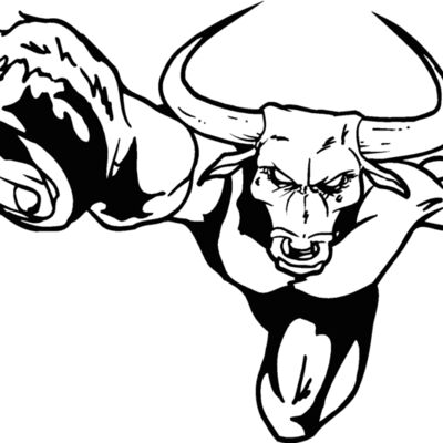 bull1 Thumbnail