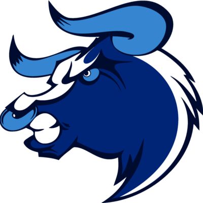 bull12v4clr Thumbnail