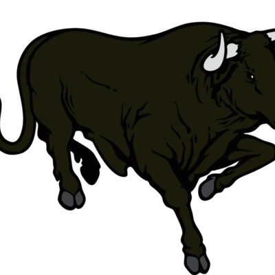 bull07v4clr Thumbnail