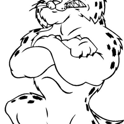 bobcatbskblbns Thumbnail