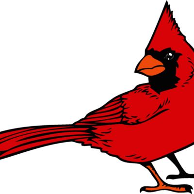 cardinaljk12 Thumbnail