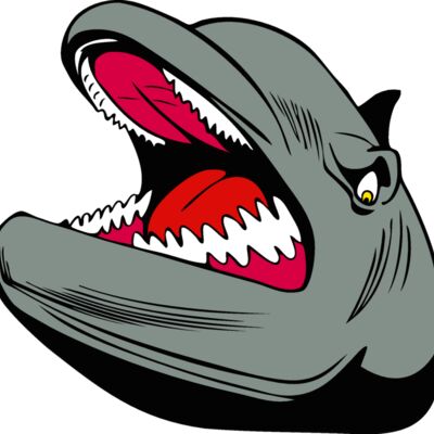 dolphinhd05 Thumbnail