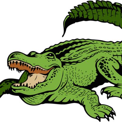 gator11v4clr Thumbnail