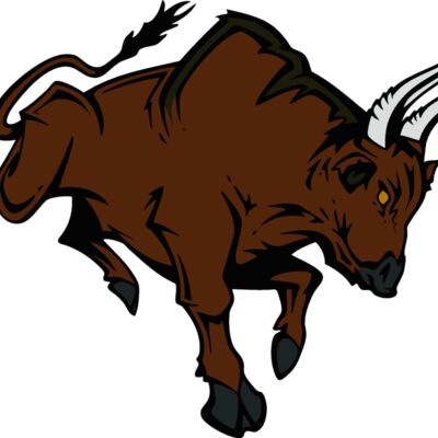 bull08v4clr Thumbnail