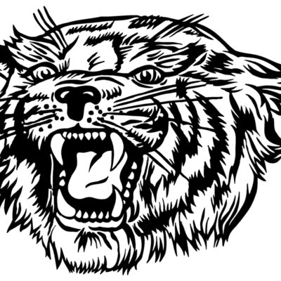 bobcathead02 Thumbnail