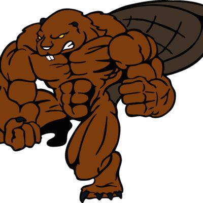 beaver11 Thumbnail