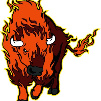 flaming bison 1 Thumbnail