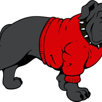 bulldog17v4clr Thumbnail