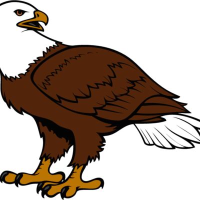 eagle18v4clr Thumbnail