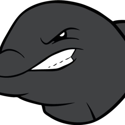 dolphinhd03 Thumbnail