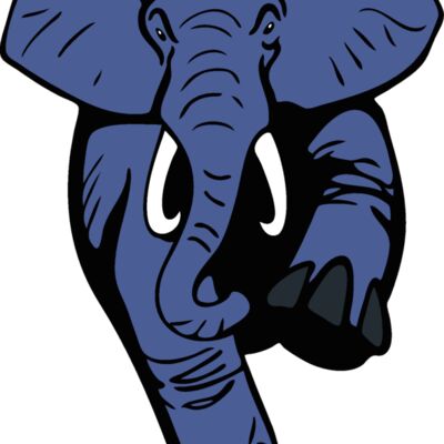 elephantmsct4 Thumbnail