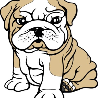 bulldog10v4clr Thumbnail