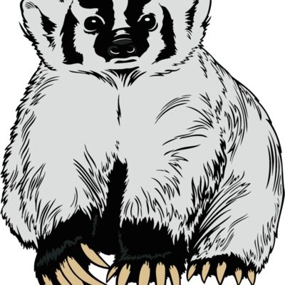 badger6 Thumbnail