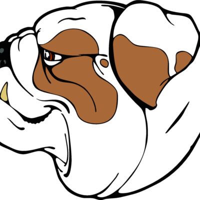 bulldogguyhead Thumbnail