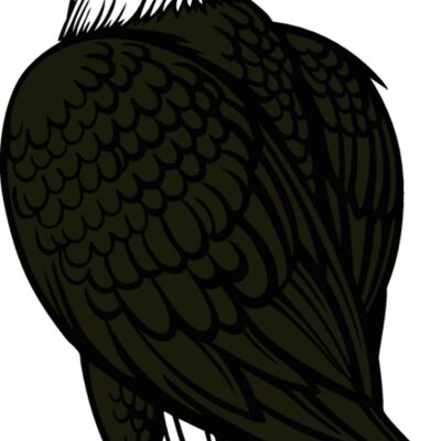 eagle10v4clr Thumbnail