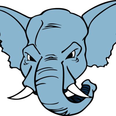 elephanthead08 Thumbnail