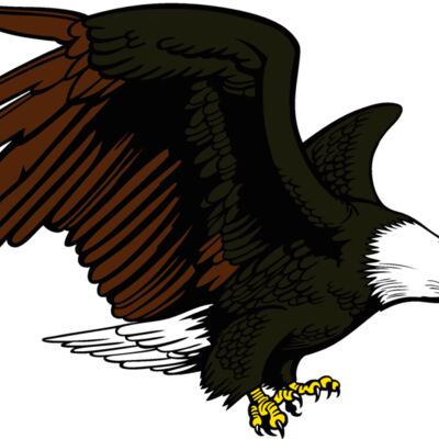 eagle12v4clr Thumbnail