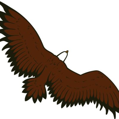 eagle16v4clr Thumbnail