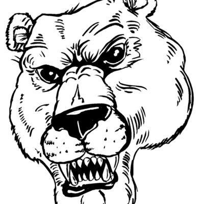 bear25 Thumbnail
