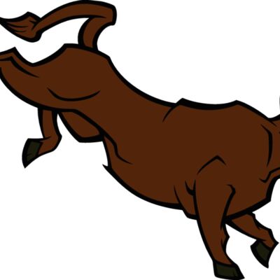 bull02v4clr Thumbnail